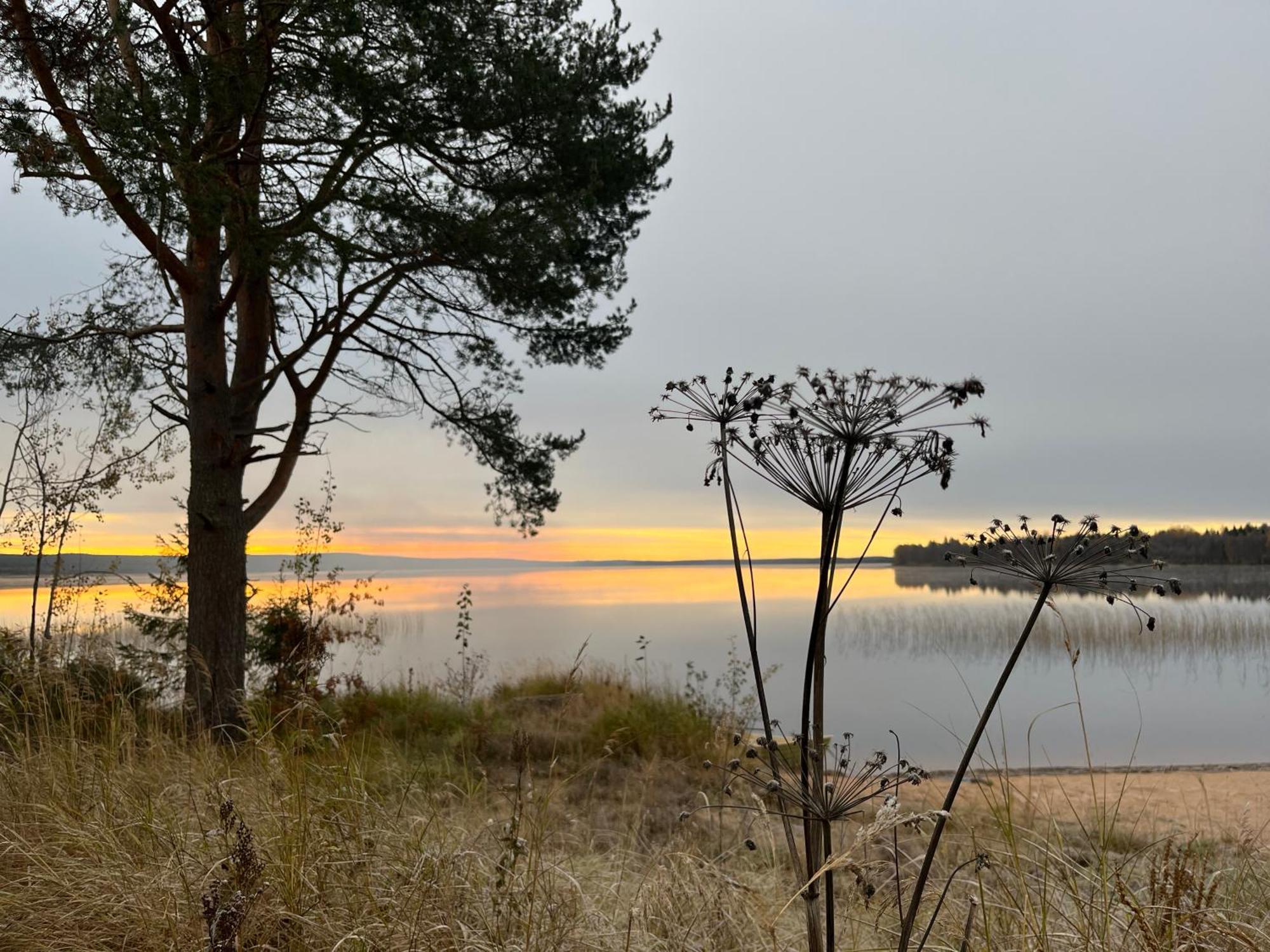 Ahosen Lomamoekit Vila Vikajärvi Exterior foto